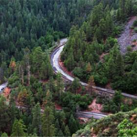 Дорога в лесу